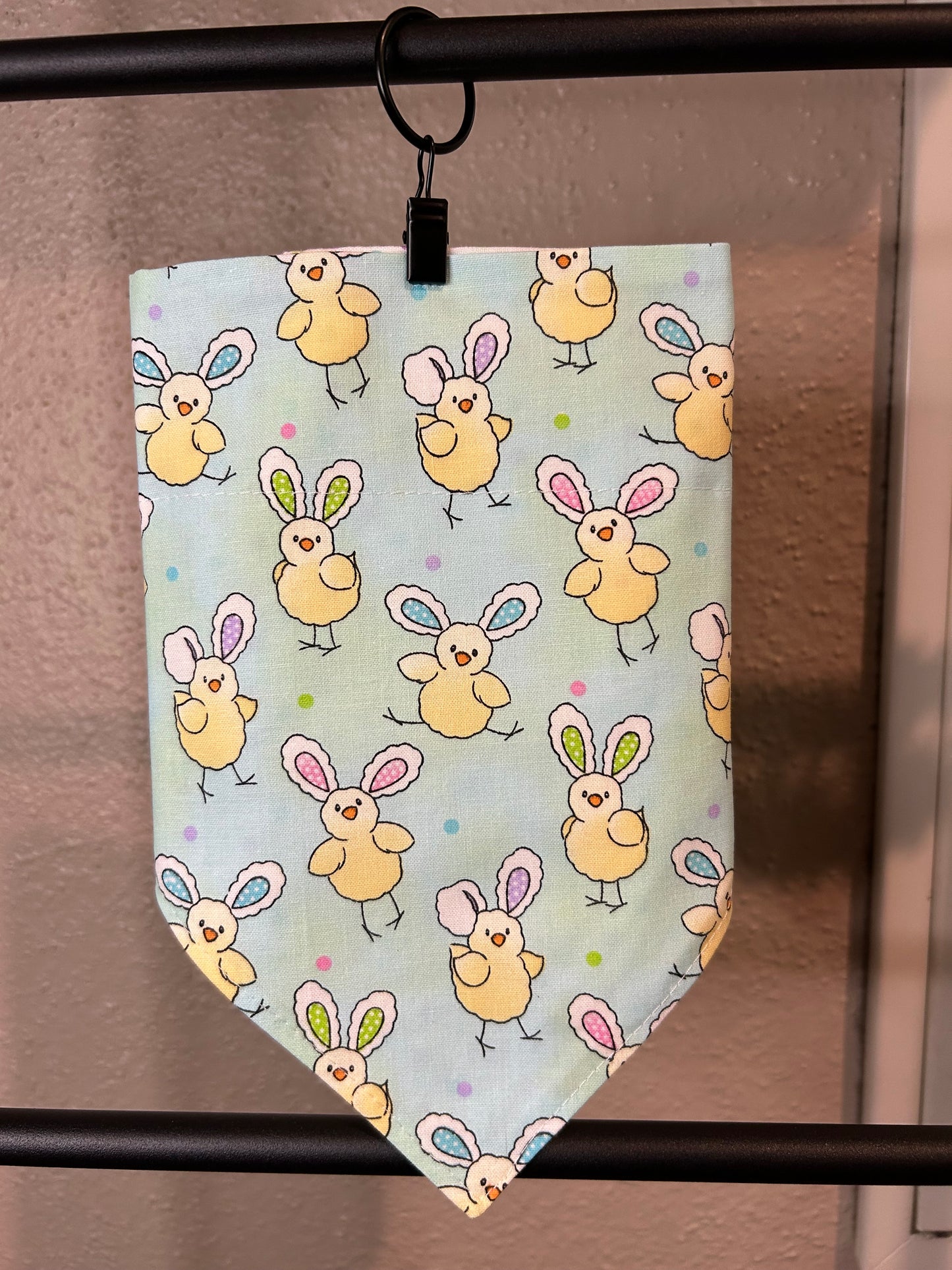 Easter Chick
