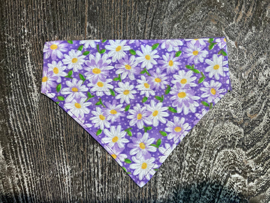 La Margarita Morada (Purple Daisy)
