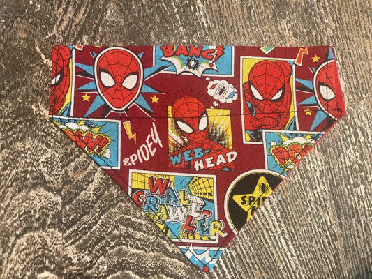 Spider-Man (Comic)