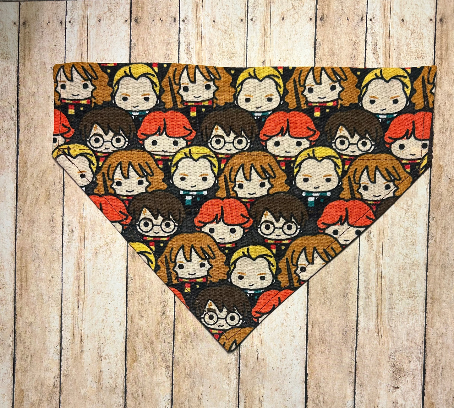 Harry Potter & Friends