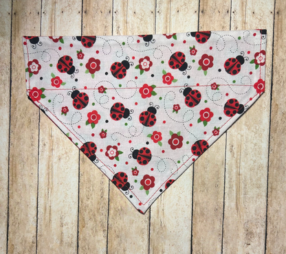 Ladybug (White)