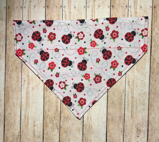 Ladybug (White)
