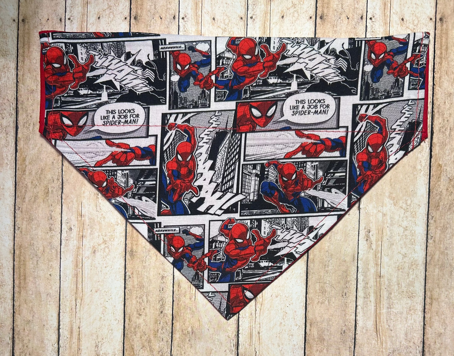 Spiderman (Comic Panels)