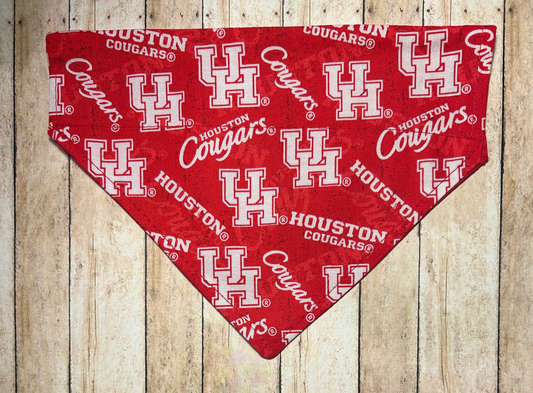 University of Houston