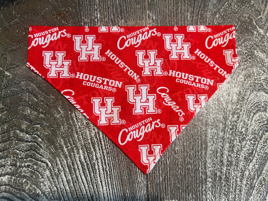 University of Houston