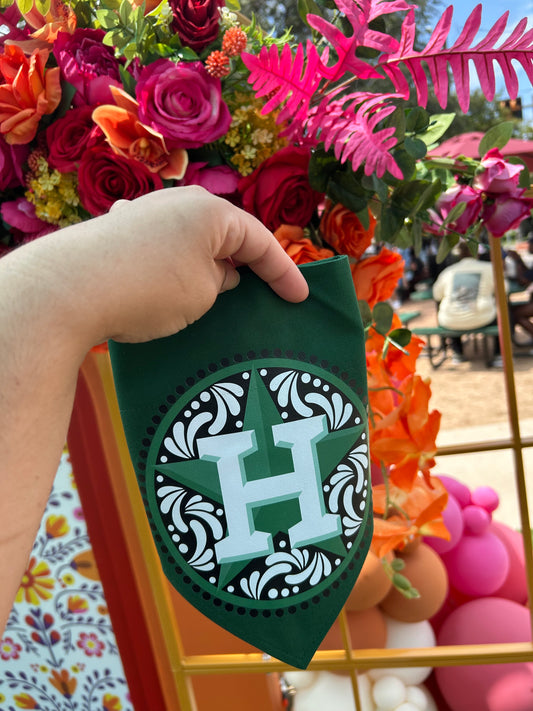 Talavera Green Astros